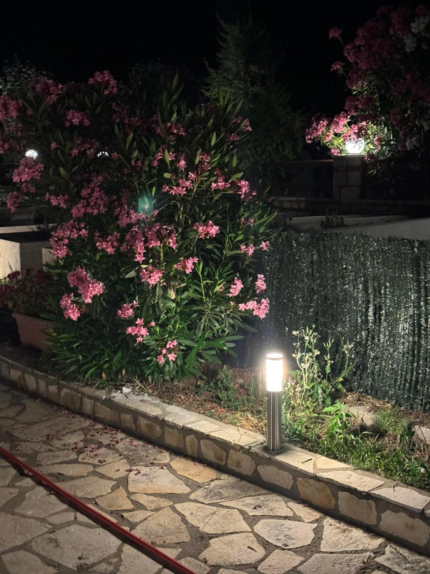 אורמוס פנגיאס Villas Ormos Palace מראה חיצוני תמונה